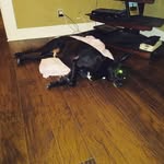 Daniel Stage - @dstage36 - Instagram