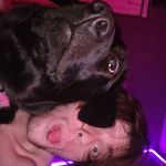 Daniel Staggs - @dan.the.meme.mann1 - Instagram