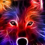 DanielStaib - @danielplohund - Instagram