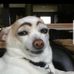Daniel Staker - Facebook