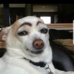 Daniel Staker - @dan_man_dude711 - Instagram