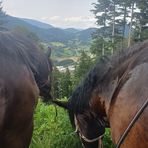 Daniel Stadlmann - Facebook