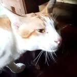 Stamp Arkorn - @daniel.stamp.95 - Instagram