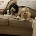 Daniel Standish - Facebook
