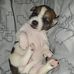 Daniel Stanfield - Facebook