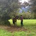 Daniel Stange - Facebook
