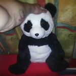 Daniel Stange - @stange110589 - Instagram