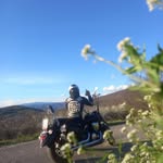 Daniel Chizma Stankovic - @danielchizma - Instagram