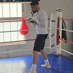Daniel Stankovic - @theboxing__coach - Instagram