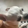 Melio876 - @daniel.stankovic95 - TikTok