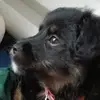 Danielstanojevic🇷🇸🇷🇸🇷🇸 - @daniel.stanojevic4 - TikTok