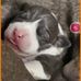 Daniel Staples - Facebook