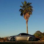 Daniel Stapleton - @stapletondaniel - Instagram
