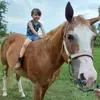 Danielle Starbuck - @danielle.starbuck - TikTok