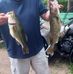 Dan Starcher - Facebook