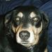 Daniel Starkweather - Facebook