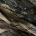 Daniel Boone Birthplace State Park - Facebook