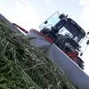 Daniel Stauch - @stauchdaniel - TikTok