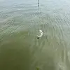 Daniel StClaire - @daniel.stclaire - TikTok