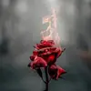daniel stethem - @danielstethem1 - TikTok
