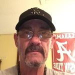 Daniel Stearman - @stearmandaniel3 - Instagram