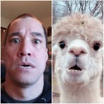 Daniel Steckler - @dannibal.stekkler - Instagram