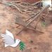 Danny Steadfast - Facebook