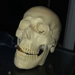 @daniel_steele__ - Instagram