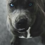 Daniel Steelman - @steelman_daniel - Instagram