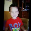 Daniel Stefanelli - @daniel.stefanelli5 - TikTok