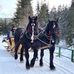 Daniel Stefaniak - Facebook