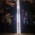 Daniel Stefański - @daniel.stefanski.54 - Instagram