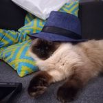 Daniel Stefański - @danio_chilli - Instagram