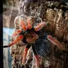 danielstegemann - @danielstegemann - TikTok
