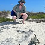 Daniel Steichen - @dsteich - Instagram