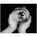 Daniel Steinberg - Facebook