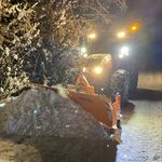 Daniel Steinberger - @_daniel.steinberger_ - Instagram