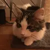 Daniel Steinberger - @daniel.steinberge7 - TikTok