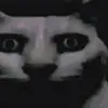 Kuklux_Dann - @danielsteinbock5 - TikTok