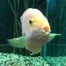 Daniel Stepien - Facebook