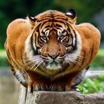 Danielsterrett - @danielsterrett1 - Instagram