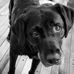 Dan Stetson - Facebook