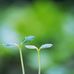 Daniel Stocker - Facebook