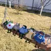 Daniel Stoll - @daniel.stoll2 - TikTok