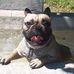 Daniel Stoll - Facebook