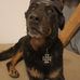 Daniel Stolle - Facebook
