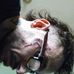 Daniel Stoltz - Facebook