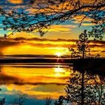 Daniel Stoltzfus - @dstoltfus - Instagram
