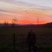 Daniel Stoltzfus - Facebook