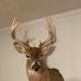 Daniel Stoltzfus - Facebook